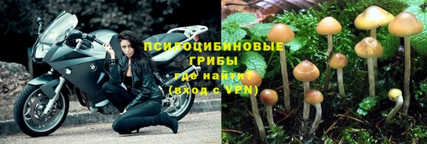 прущий лед Балахна