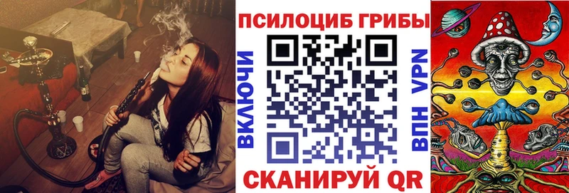 Купить закладки  Велиж  Галлюциногенные грибы Psilocybine cubensis 